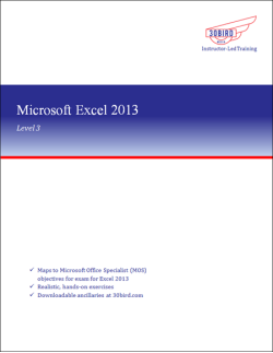 Excel 2013 Level 3