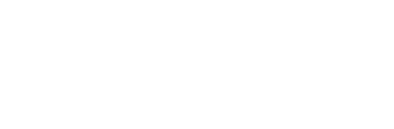 30 Bird Media